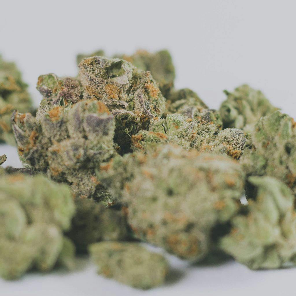 4/20 Weed Deals in Nevada: Greenleaf Wellness - Sparks